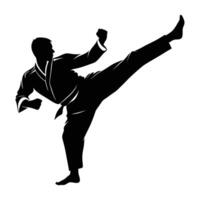 Focused taekwondo practitioner executing a refined routine with precise technique and calm determination silhouette vector