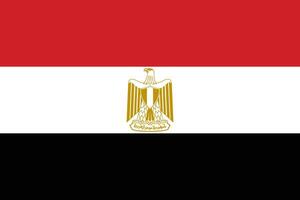 Egypt flag. Accurate dimensions and official colors. This file is suitable for digital editing and printing of any size. vector