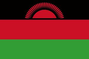 Malawi flag. Accurate dimensions and official colors. This file is suitable for digital editing and printing of any size. vector