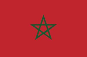 Morocco flag. Accurate dimensions and official colors. This file is suitable for digital editing and printing of any size. vector