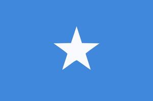Somalia flag. Accurate dimensions and official colors. This file is suitable for digital editing and printing of any size. vector