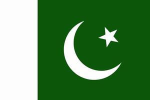 Pakistan flag. Accurate dimensions and official colors. This file is suitable for digital editing and printing of any size. vector