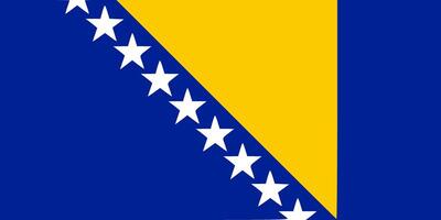 Bosnia And Herzegovina flag. Accurate dimensions and official colors. This file is suitable for digital editing and printing of any size. vector