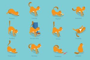 3D Isometric Flat Set of Cats Behavior Poses, Kitty Reactions vector