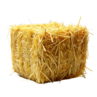 A single bale of golden hay straw isolated on a gray background showing texture and detail png