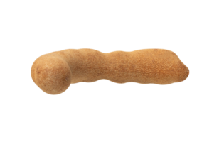 This features unique, elongated, and textured object resembling natural form. It showcases brownish color and distinct shape png
