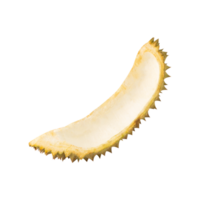 Durian fruit slice with spiky edges, showcasing its creamy interior png