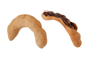 Tamarind pods with textured outer shell and dark, sticky pulp inside, showcasing their unique shape and color png