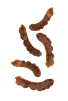 Dried tamarind pods arranged on transparency background, showcasing their unique shape and texture png
