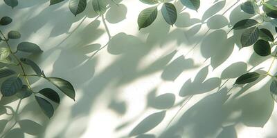 Delicate green leaves casting intricate shadows on a soft pastel surface. photo