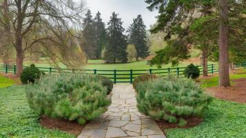 A pathway leads to a green fence and trees photo