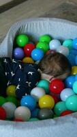 Adorable active toddler jumps into the dry basin with balls. Happy funny kid deepens into the toys. Top view. Vertical video