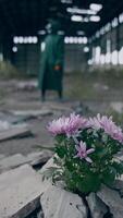 Nature in danger. Ecologist in safety suit and gas mask placing flowers in abandoned place. Biochemical attack and polluted environment concept. Vertical video