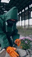 Giving new life to our planet. Ecologist in safety suit and gas mask preparing to placing flowers in abandoned place around the building trash. Biochemical attack concept. Vertical video