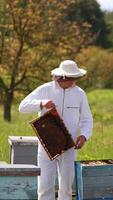 Apiculture inside beautiful nature. Bee master holding honey frame with bees and examining it. Beekeeper in white suit working near wooden beehives.. Vertical video