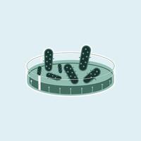 Petri Dish with Agar Medium Supporting Bacterial Growth vector