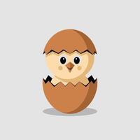 Fluffy Yellow Chick Peeking Out of a Broken Eggshell vector