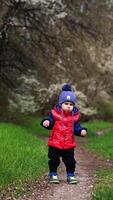 Serious little kid stands still on the path. Suddenly he starts to walk smiling. Blooming trees at backdrop. Vertical video