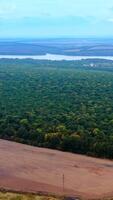 Beautiful landscape. Amazing view of nature. Background of green forest, river and fields. High-voltage electric towers on field. Aerial view.. Vertical video