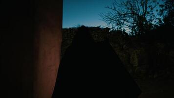 Lantern Mason Wanders the Cobblestone Paths video
