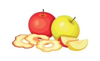 Dried apples and fresh apples isolated on white background. Illustration of delicious fruit in cartoon style. Dried apples icon. Design element,logo. Apple chips. vector