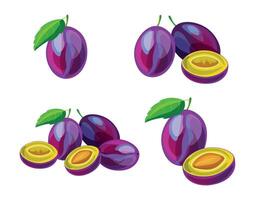 Set of sweet plums with green leaves isolated on white background. Group of whole and sliced plums. vector
