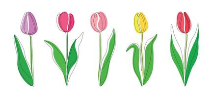 Set lilac, pink, yellow and red tulips continious one line on a white background. Cute multi-colored tulips in one line. vector