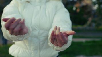 Hands Of A Dancer In The Park Moving With The Music video