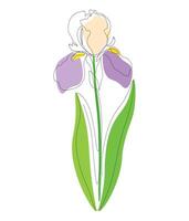 Iris flower continuous single line isolated on a white background. Minimalistic iris flower design with one line design for logo, greeting cards. One line illustration. vector