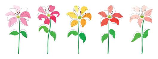 Set of pink, fuchsia, yellow, red and white lilies continuous one line isolated on a white background. Group of single line flowers lilies. vector