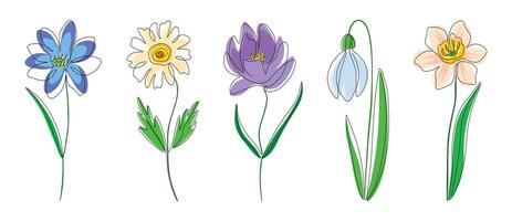 Set of spring flowers, continuous one line isolated on a white background. vector
