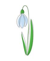 One line snowdrop isolated on white background. Illustration continuous one line of white snowdrop with green leaves. Spring card with snowdrop. Spring flower. vector