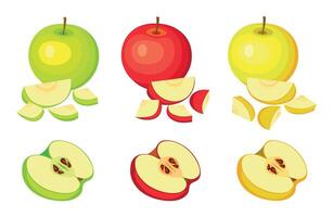 Set of green, red and yellow apples isolated on a white background. Whole and cut apples. Cartoon sweet apples. vector