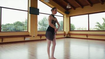 Expressive Dance Poses in Ballet Routine video