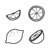 Lemon Set. Hand drawn doodle elements of whole Fruit and Cut Citrus Slices. Black and White line art isolated on a white background. For product packaging, menu, logos. vector