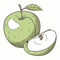 A green apple with a leaf, isolated on a white background vector