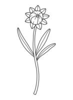 Closed wildflower bud, line art style, black color. Blooming wild plant coreopsis, meadow flower, contour. Detailed floral botanical elements for design projects, ink outline. vector