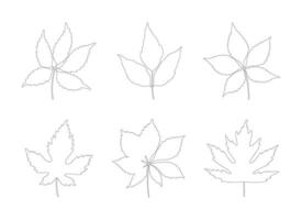 Set of autumn leaves maple, chestnut, and five leaved ivy. Black silhouettes in line art style on a white background. Fall, spring, or summer collection foliage vector