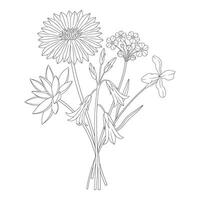 Wildflower bouquet with dahlia, bellflower, and forget me not. Meadow flowers and wild plants. Line art, minimal style, contour. Botanical hand drawn elements for design projects vector