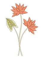 Bright bouquet of two nymphaea flowers with leaf. Bunch of blooming water wild plants. Botanical hand drawn elements for design projects. vector