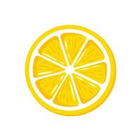 Yellow lemon citrus isolated on white background vector