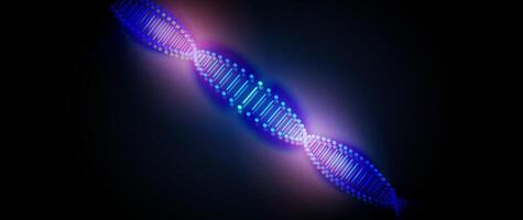 Visual representation of a DNA double helix illuminated in vibrant blue and purple colors against a dark background. vector