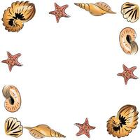 Seashell frame and border vector