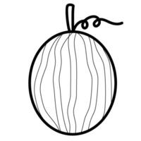 Watermelon fruit line vector