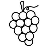 Grape fruit line vector