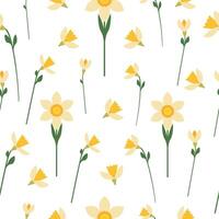 Spring Pattern Narcissus. graphics vector