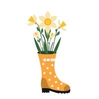 Narcissus in a boot. Spring flowers. graphics vector
