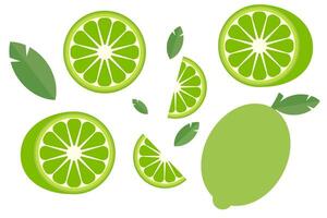 Set of limes. Lime in section. Lime slices. graphics vector