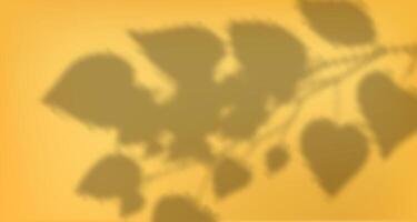 A leaf shadow on a yellow background vector