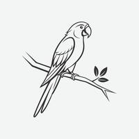 Parrot sitting on a branch outline, great for jungle and bird lovers' designs. vector
